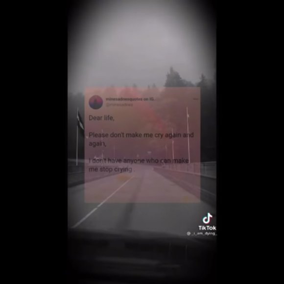 stuff people that have on tik tok - Picture 13 of 16